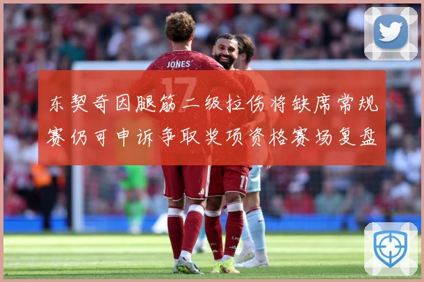 东契奇因腿筋二级拉伤将缺席常规赛仍可申诉争取奖项资格赛场复盘：最新赛事动态与深度分析
