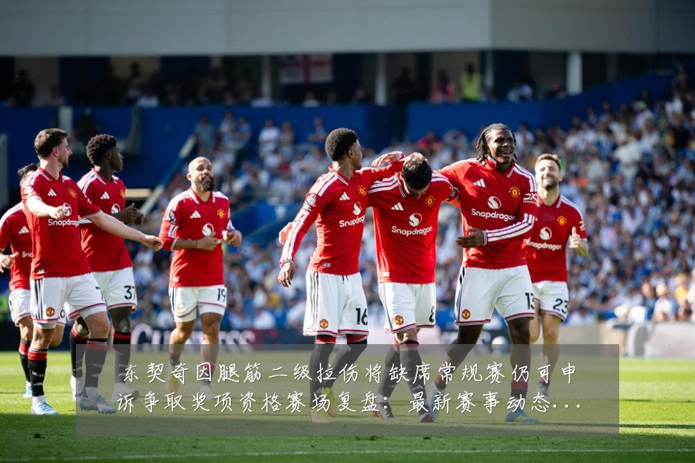 东契奇因腿筋二级拉伤将缺席常规赛仍可申诉争取奖项资格赛场复盘:最新赛事动态与深度分析
